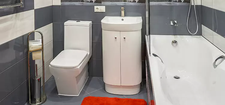Hansgrohe Shaving Mirror North Tustin
